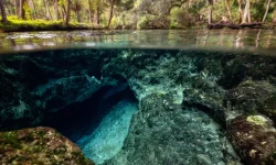 Beautiful view of an underwater cave formation. Taken in 7 Sisters Springs, Chassahowitzka River, Florida, United States of America.