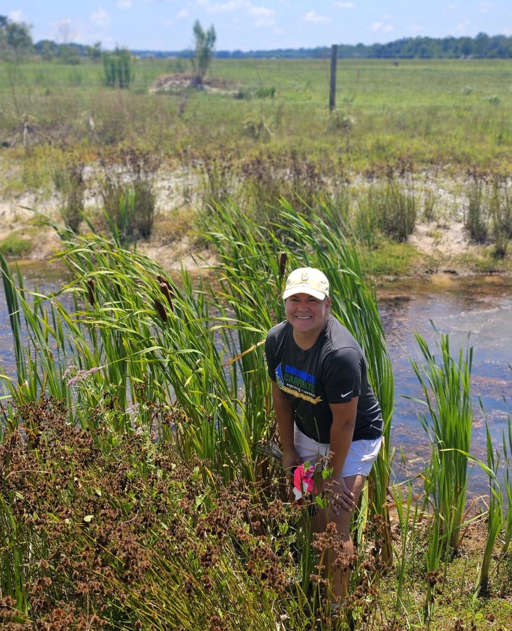 Drummond Carpenter Scientist During Wetland Field Work
